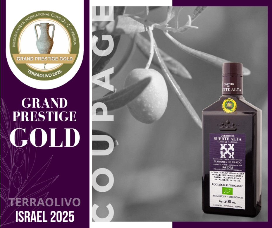 Coupage Natural galardonado en Terraolivo Israel 2025